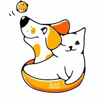 APA Entre Perros y Gatos