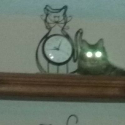 THE CLOCK IS TICKING