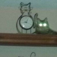 THE CLOCK IS TICKING