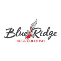 Blue Ridge Koi