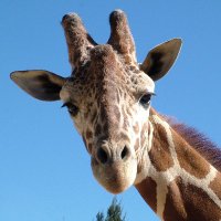 AD）ネット・PCのお悩み解決ブログ