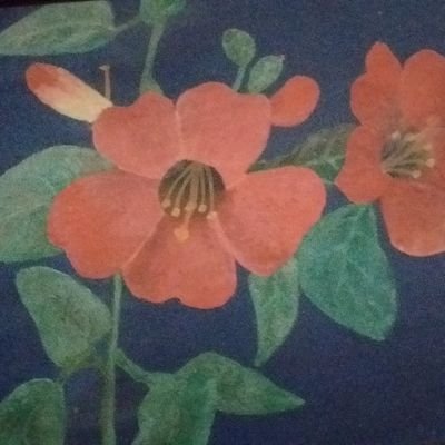 Awang Munawar @94.com