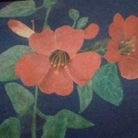 Awang Munawar @94.com