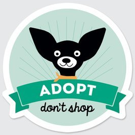 LancasterAnimalShelt