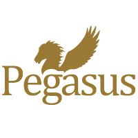 Pegasus Publishers