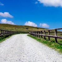 克彦（球春到来祝福勢）