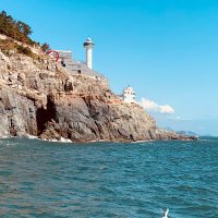 うすワサビさん㊗️解散いや解放だー🙌