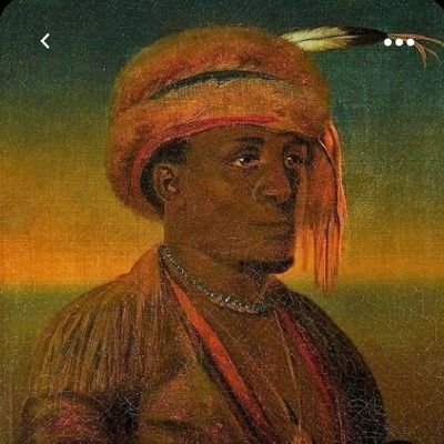 COPPER N AMERICAN INDIAN (AKA) NIIJI🐢