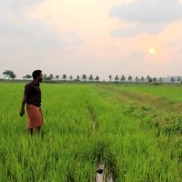 Manoj Karingamadathil