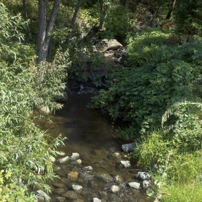 Kay☮🌊🇺🇸🇺🇦