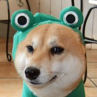 toyshop エムエム ★静岡県 藤枝市★