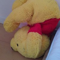 工藤 真梨衣(くどう まりい)