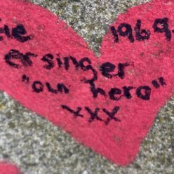 Anita 3.5% 💙 🏳️‍🌈