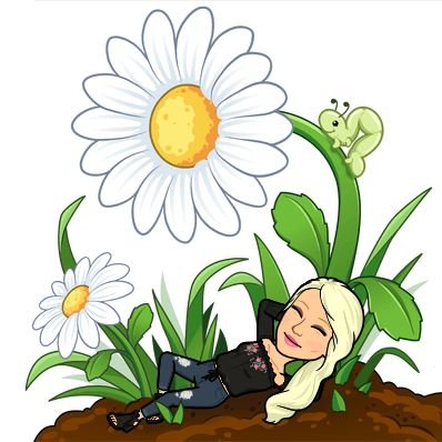 ZenOnaturel 🇨🇵