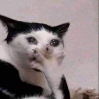 jiwon sunbae's waifuu