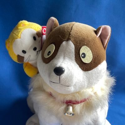 カシム@4/19 チャレンジ富士五湖ウルトラマラソン