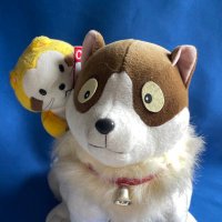 カシム@4/19 チャレンジ富士五湖ウルトラマラソン