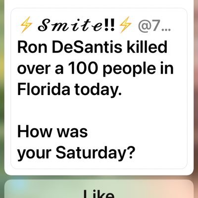 Democracy Wins 🏴‍☠️