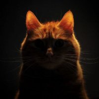 Mole Rat tootin' along in her fartmobile