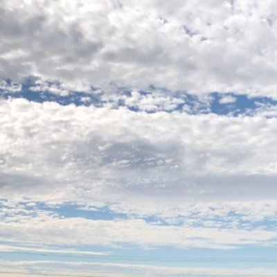 単複パカパカ競馬予想🏇👵👼