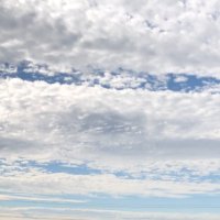 単複パカパカ競馬予想🏇👵👼