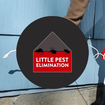 Little Pest Elimination
