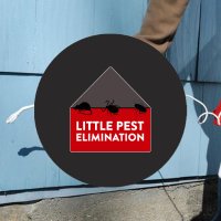 Little Pest Elimination