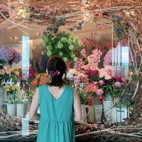 コッチ@JALマイルで子連れ旅✈️