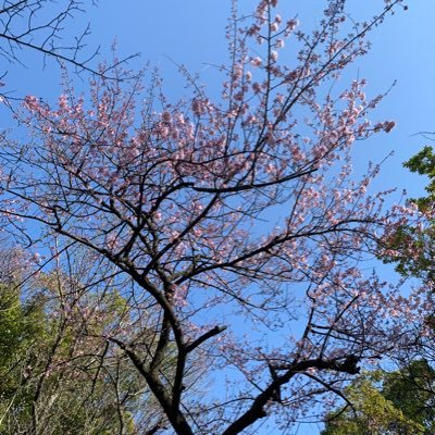 ひろ【日本を愛する仲間たち】