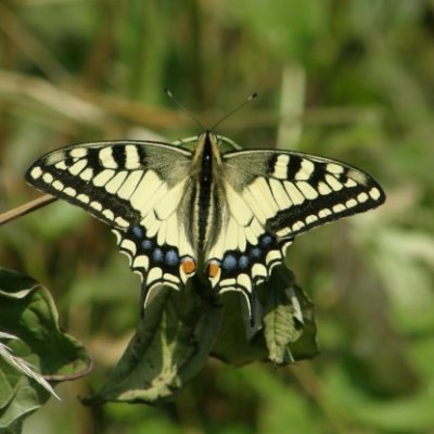 EvaK 🇨🇿 🇪🇺 🇺🇦 ✌️