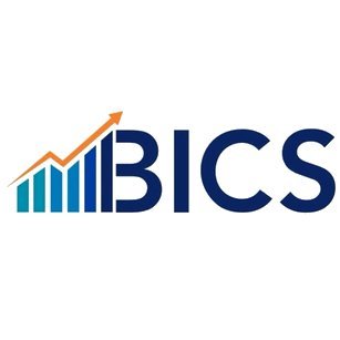 BI Consulting Services