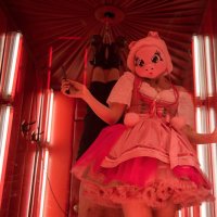 Ilsa, Shewolf of the US