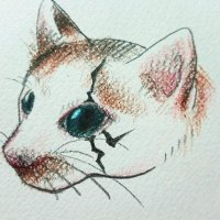 まつだいらたけちよ 𝕸𝖆𝖙𝖘𝖚𝖉𝖆𝖎𝖗𝖆 𝕿𝖆𝖐𝖊𝖈𝖍𝖎𝖞𝖔