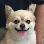 エルク🇺🇦京都飛燕隊@自転車部(仮)