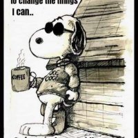 SouthernStateofMind NO DMS