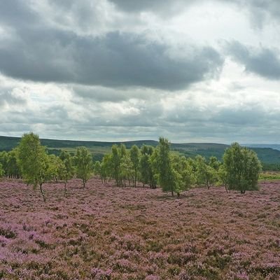 Heather #FundOurNHS 💙