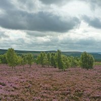 Heather #FundOurNHS 💙