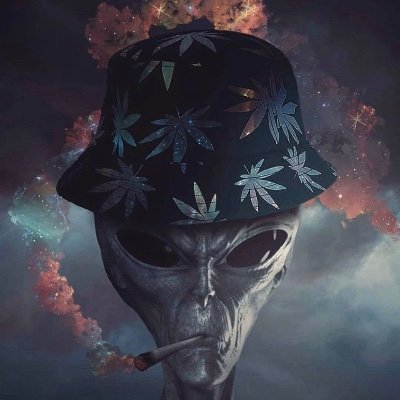 Kid Vishis The Now King