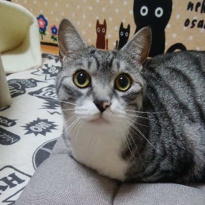 ピノちゃん🩷🌈パルムちゃん🩷🩷