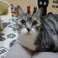 ピノちゃん🩷🌈パルムちゃん🩷🩷