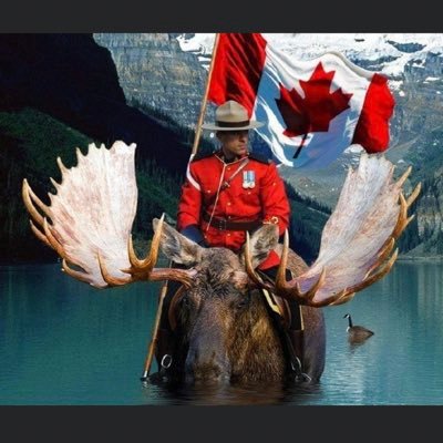 Cory & Gio 🐾🇨🇦