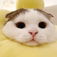 รับกด sephora⭐️