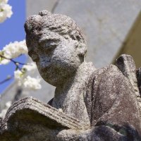 ラビット・モルダー捜査官