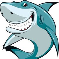The Shark
