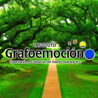 Instituto Grafoemoción