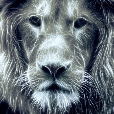 Frederic 🟡 ⚪️ 🟠🧱