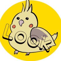 オカメのLOOK@wakunoki