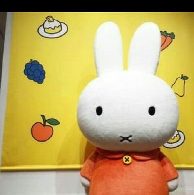 おかざえる（ざえる〜）🐇