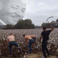 MoneyBaggStrokes The ScatPackOG