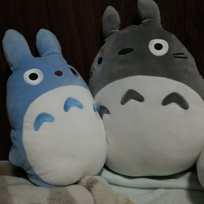 もふもふ(。・ω・。)